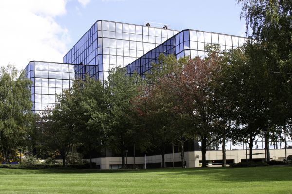Commercial Tree Trimming in Mankato